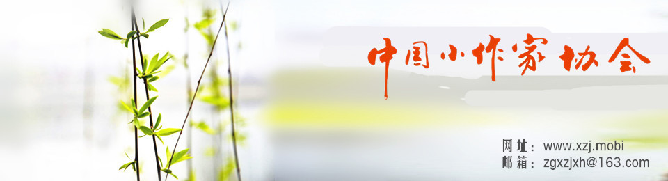 中国小作家协会